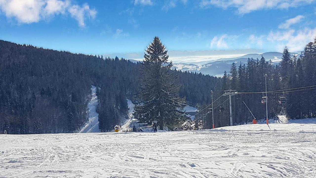 Chalex Villa Aigen im Mühlkreis Exterior foto